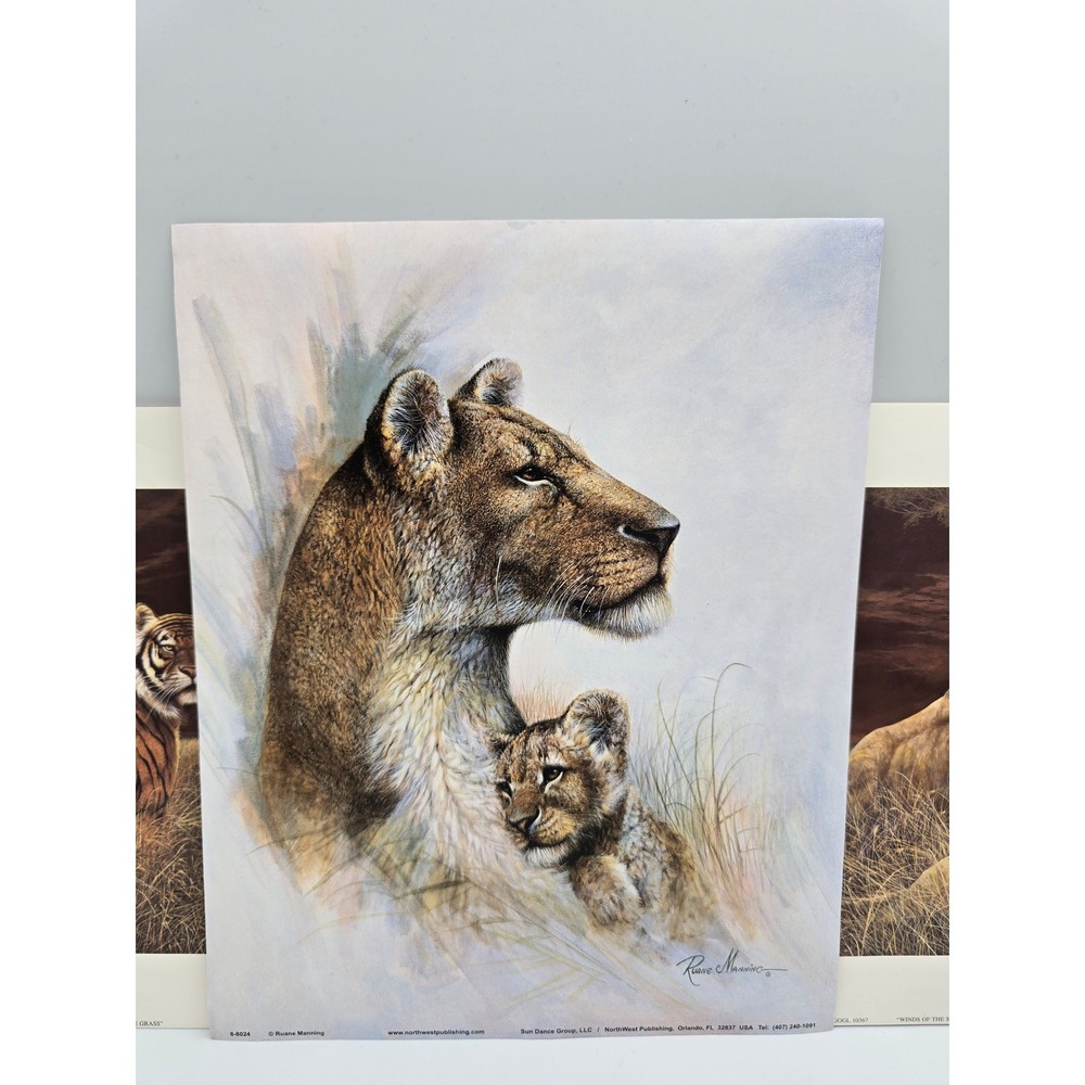 Ruane Manning Wildlife Art Prints Lion Tiger‎ Set Litho USA - Picture 4 of 11